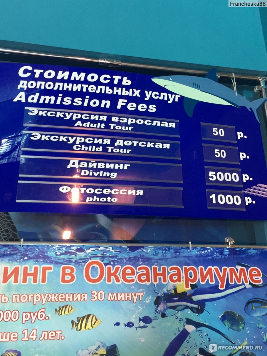 Океанариум, санкт-петербург (россия): история, фото, как добраться, адрес
на карте и время работы в 2023