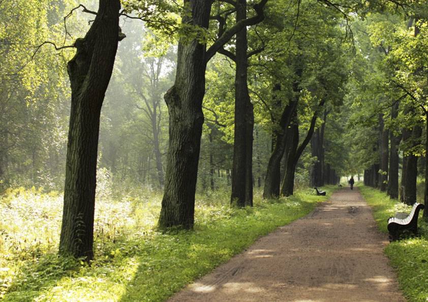 Парки в санкт-петербурге. топ-20 самых красивых мест отдыха