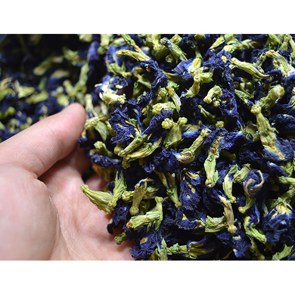Синий чай из таиланда «анчан»: полезные свойства и правильное приготовление