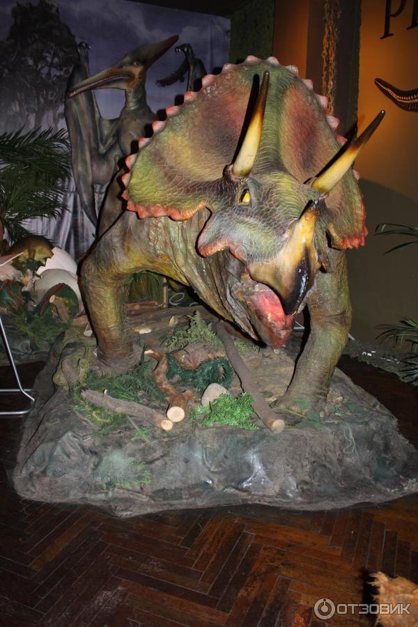 Музей динозавров в санкт-петербурге планета динозавров