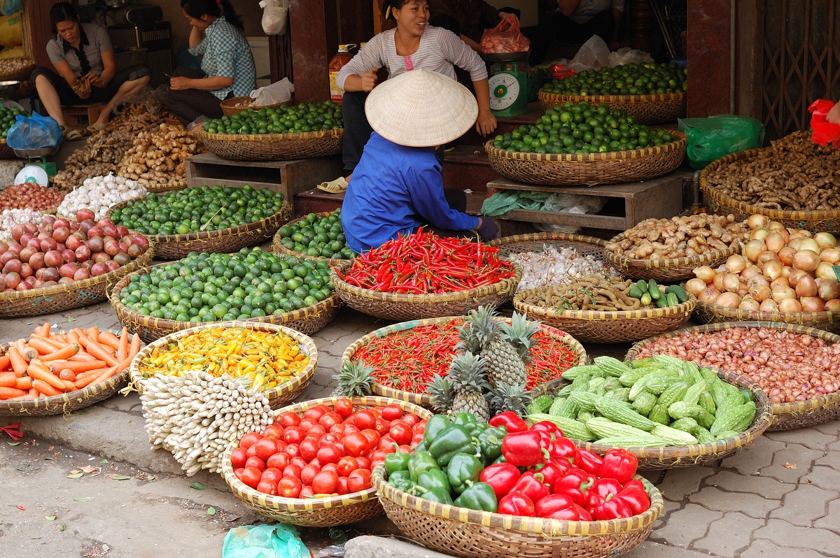 Вьетнамская кухня: меню, блюда, рецепты, отзывы | food and health