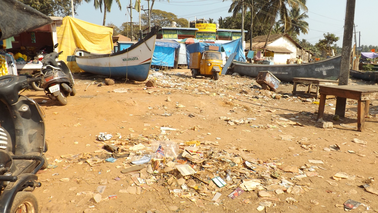 Бага в гоа – один из самых чистых пляжей индии
