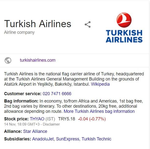 Турецкие авиалинии: регистрация на рейс на русском