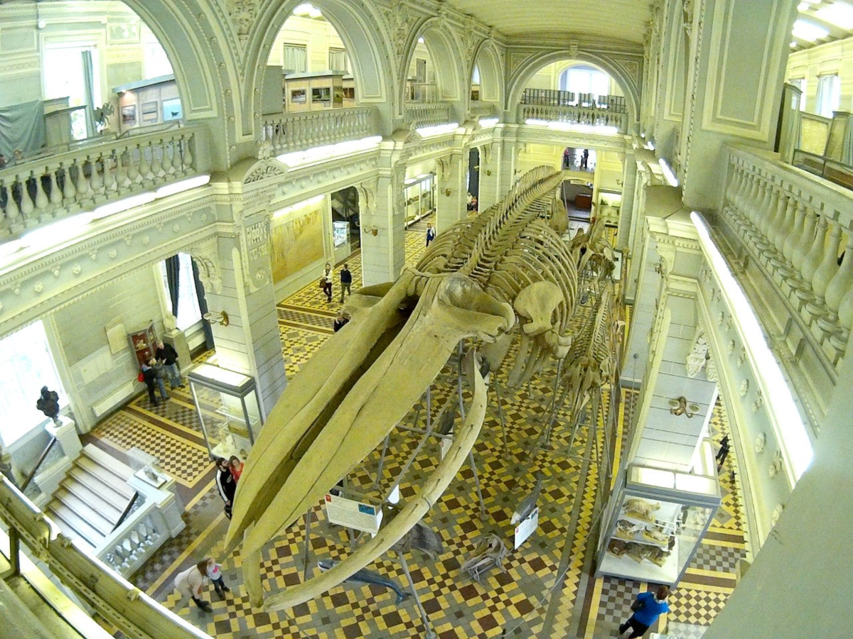 Интересные и необычные музеи санкт-петербурга