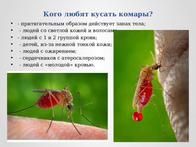 Комары какая группа крови